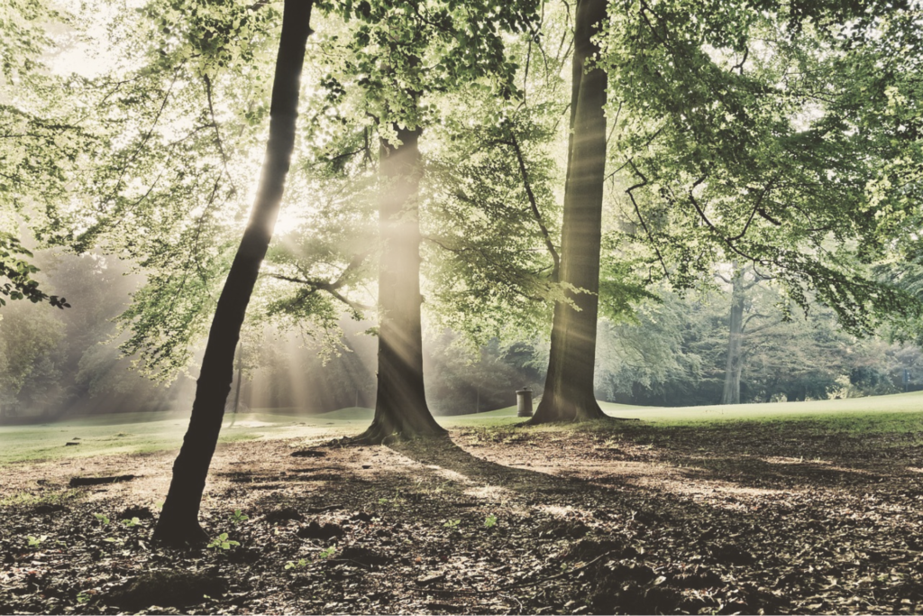 Angoisses-comprendre