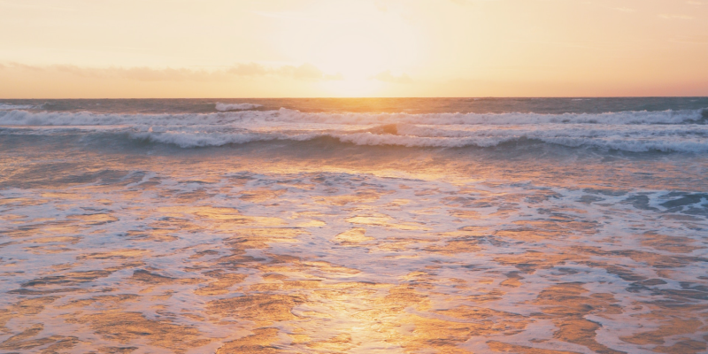 petitesvagues